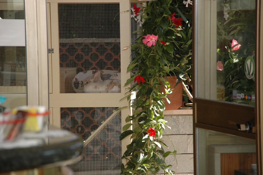 Hotel Ristorante La Terrazza Lido di Camaiore Eksteriør billede